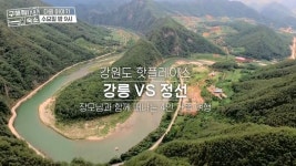구해줘 숙소 강릉·정선, 몰디브 st 펜션부터 프라이빗 모던 펜션까지