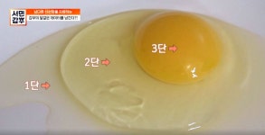 서민갑부 양계장 갑부, 계란 신선도 확인하는 초간단 방법은?