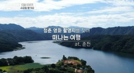 구해줘 숙소 춘천 숙소, 레트로 카라반 캠핑장부터 숲페셜 북스테이까지