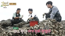 [종합] 안다행 장민호X영탁X이찬원, 납도 첫식사 동죽밥-동죽탕-김치굴전-굴보쌈 먹방