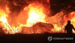 주민들이 무시해서… 강릉·동해 불바다 만든 방화범 구속영장 (강원·경북 산불 확산)