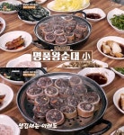 껍데기부터 달라…백반기행 대구 막창순대, 당면 순대와 차원 다른 맛