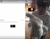또 닭 됨…홍영기, 동물농장 제작진에게 연락받은 이유?