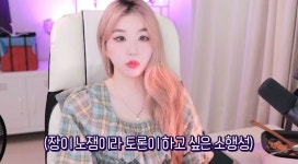 내가 없어져도…스트리머 소행성612, 주식 매매 방송 중단→우울증 토로