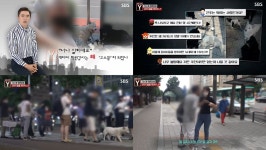 궁금한이야기Y 미금역 버스 정류장에 묶인 강아지 3마리, 방치 염려하는 사람들 모두 고소와 신고 (2)