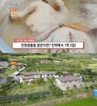 생방송오늘저녁 강진 전원생활 민박집 위치는? 시골밥상한상-황칠닭백숙-생선구이백반 外 밥 잘 주는!