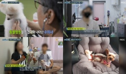 실화탐사대 수상한 애견숍, MRI-CT까지 갖춘 애견숍 수상한 수의사의 처방…충주에서 강아지 죽이고 삼척에 와 (2)