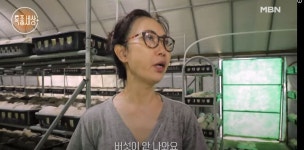 가수 헤라(웬청쉬) 누구?…중국 첨밀밀 가수→한국 귀화