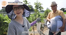 첨밀밀 가수 헤라(옌청쉬), 생활고+공황장애 고백…매니저에 사기 당해