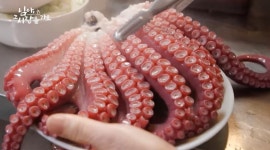 하루 전화만 200통…백종원 삼척 문어집 근황?→위치·가격 관심
