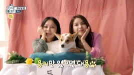완전 다르다…마마무 솔라, 친언니 김용희와 일상 공개…나이-직업 무엇?