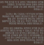 애도 방식 강요 NO…음악평론가 배순탁, 이태원 참사에 소신