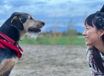 김태호PD-이효리, 캐나다 체크인 12월 공개…해외 입양 유기견 만난다