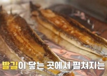 서민갑부 대구 칠성시장 민물장어구이 맛집 위치는? 장어골목 원조집 자부!