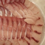 생생정보 제주 서귀포 방어회 맛집 위치는? 모슬포항 대방어회-방어내장탕-자리물회 횟집!