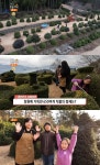 생방송오늘저녁 남해 토피어리 정원 위치는? 작은 동화 같은 편백나무숲 공원