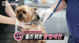구해줘 홈즈 예고편, 댕댕하우스부터 하남 인프라 왕간다까지