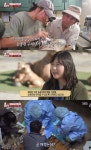 TV동물농장 이하늬 동물원 수의사, 백두산 호랑이 봉합수술 현장 눈길 [어제픽]