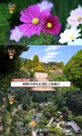 생방송오늘저녁 가평 대형 수목원 위치는? 화제의 드라마 속 정원