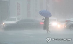 서울 전역에 호우경보 앞을 보기 어려울 정도 많은 비…구로구 극한호우 첫 긴급재난문자(날씨)