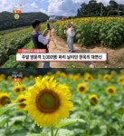 생방송오늘저녁 경주 하동저수지 해바라기정원 한옥카페 위치는? 리얼딸기라떼-팥빙수 外