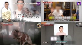 궁금한이야기Y 워크맨 개그맨 사칭남, 말티즈 한쪽 눈 실명시킨 야탑 동물학대범과 동일인물-리플리 증후군인가? (1)