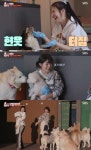 뒷골 당겨…TV동물농장 레드벨벳 조이·슬기, 반려견들 앞 신곡 칠 킬 무대 [어제픽]