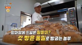 생방송오늘저녁 장흥 천연발효 유기농 빵 맛집 위치는? 빵지순례 명소 바게트-치아바타 外