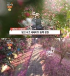 생방송오늘저녁 제주 서귀포 동백꽃 식물원 카페 위치는? 아름다운 대한민국 보물정원