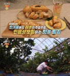 생방송오늘저녁 완주 레몬케이크·쪽파베이글·통밀빵 맛집 위치는? 논밭뷰 베이커리카페 농부네 빵집