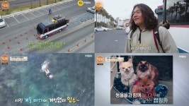 고양이 2마리와 강아지 2마리 특종세상 괴짜 여행가 이현명, 반려동물들과 자급자족 제주 여행 설명서 (1)