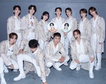 세븐틴, 앙코르 콘서트 선예매 일정→티켓 가격 공개…VIP석 '19만 8000원'