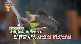 생방송오늘저녁 영동 자연산 능이버섯전골 맛집 위치는? 송이버섯전골-버섯찌개-버섯볶음 등