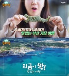 생생정보마당 부산 기장 밥알쑥인절미 떡카페 위치는? 신평소공원 오션뷰 맛집