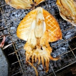 6시 내고향 고흥전통시장 숯불생선구이 맛집 위치는? 삼치구이-고등어구이-갈치구이 등