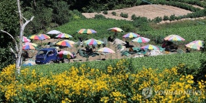 수요일 낮 더위, 아침엔 쌀쌀…경남 동부·남해안·제주에 오후 들어 비 조금(내일 날씨 예보)