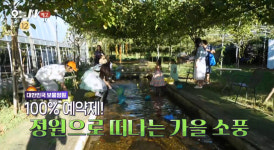 오늘N 파주 공능저수지 가족정원 체험농원 위치는? 가을 소풍 떠나자