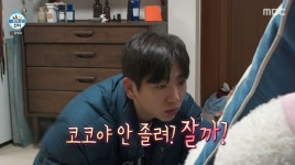 나 혼자 산다 이주승, 어머니의 반려견 코코와 한달 살기 성공