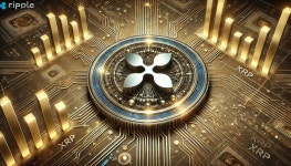 리플 XRP, SEC 소송 종결 임박… IPO·중앙은행 협력 강화 전망