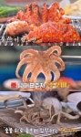 THE 맛있는 녀석들 서울 화곡동 쭈꾸미구이 맛집 위치는? 봄철 활기 불어넣는다