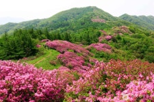 산청군 시천·삼장면 산불 확산…지리산 일대 입산 자제 당부