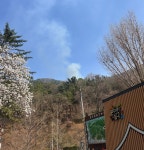 봉덕동 앞산 산불 발생…소방헬기 6대 투입해 신속 진화