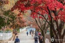 동두천 가볼만한곳 추천, 산책부터 테마파크까지