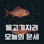[오늘의 별자리 운세] 오늘 운세...물고기자리 4월 26일 운세 대공개