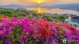 청주 가볼만한곳, 지금 이곳에 사람들이 몰리는 이유
