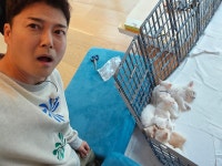 강아지 유치원 오픈…전현무, 순수한 미소 속 따스함→힐링 가득