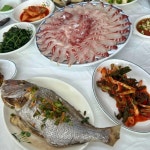 6시 내고향 서천 마량진항 광어요리 맛집 위치는? 제철 해산물 횟집
