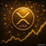 리플 CEO XRP, 5년 내 SWIFT 결제 시장 14% 점유 가능
