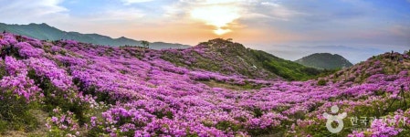 합천날씨 무더위 속, 영상테마파크·황매산군립공원 여름 명소 부상