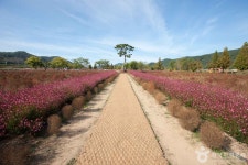 자연과 체험이 가득한 의령가볼만한곳 완벽 가이드